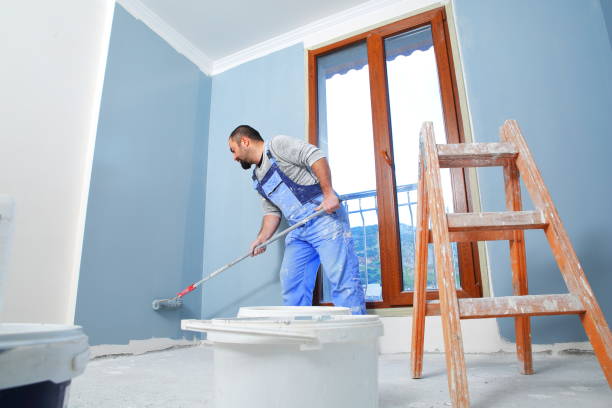 Best Mold Removal for HVAC Installations  in University Heights, OH
