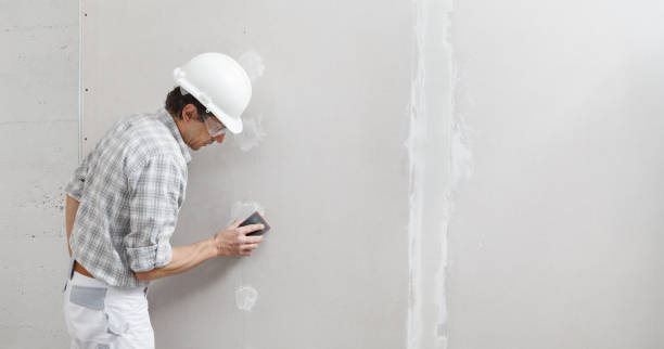 Best Mold Remediation for Healthcare Facilities  in University Heights, OH