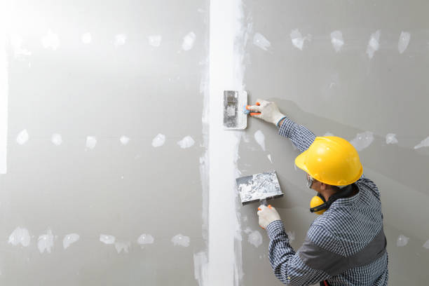 Best Crawl Space Mold Remediation  in University Heights, OH