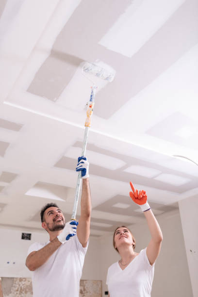 Best Water Damage & Mold Remediation  in University Heights, OH