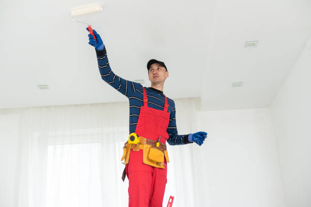 Best Mold Odor Removal Services  in University Heights, OH