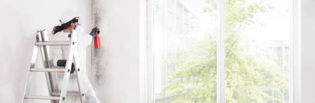 Best Comprehensive Air Testing for Mold Contaminants  in University Heights, OH