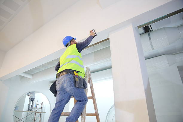Best Biohazard Mold Removal  in University Heights, OH
