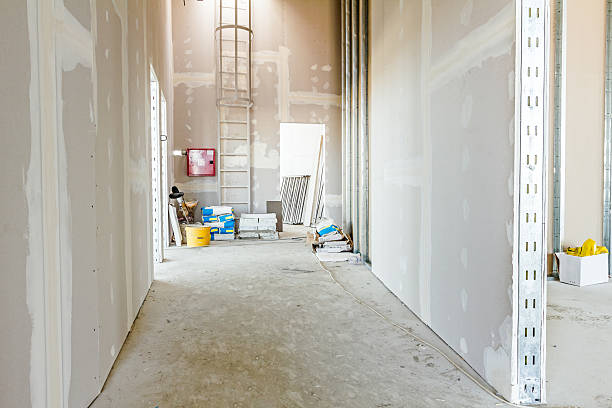 Best Real Estate Mold Inspection  in University Heights, OH