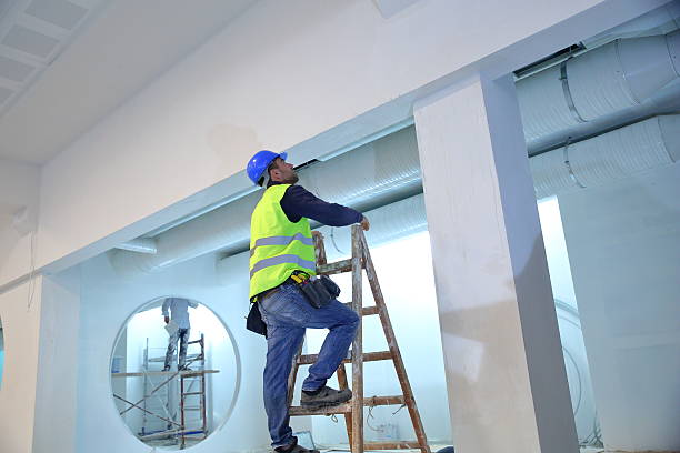 Best Basement Mold Removal  in University Heights, OH